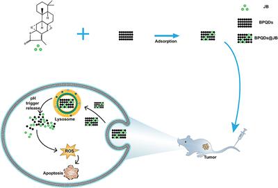 A Nano-Traditional Chinese Medicine Against Lymphoma That Regulates the Level of Reactive Oxygen Species